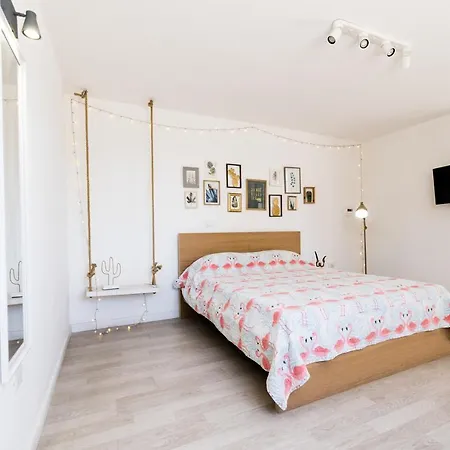 住宿加早餐酒店 Flamingo 4*