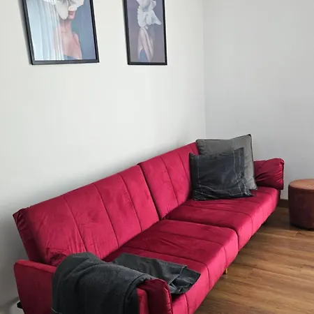 Flamingo 住宿加早餐酒店