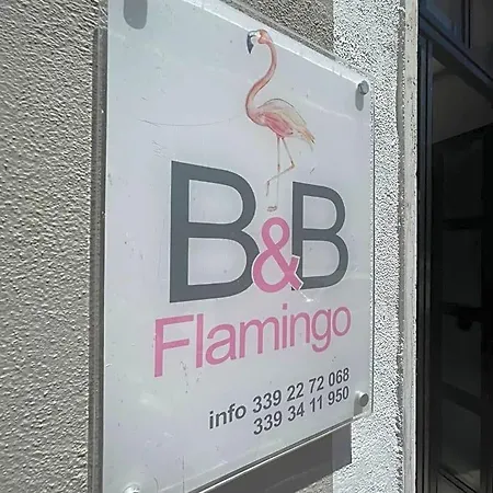 Flamingo Bed and Breakfast 3*