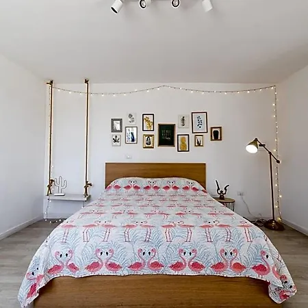 Bed and Breakfast Flamingo