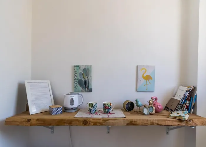 Flamingo פומפיי